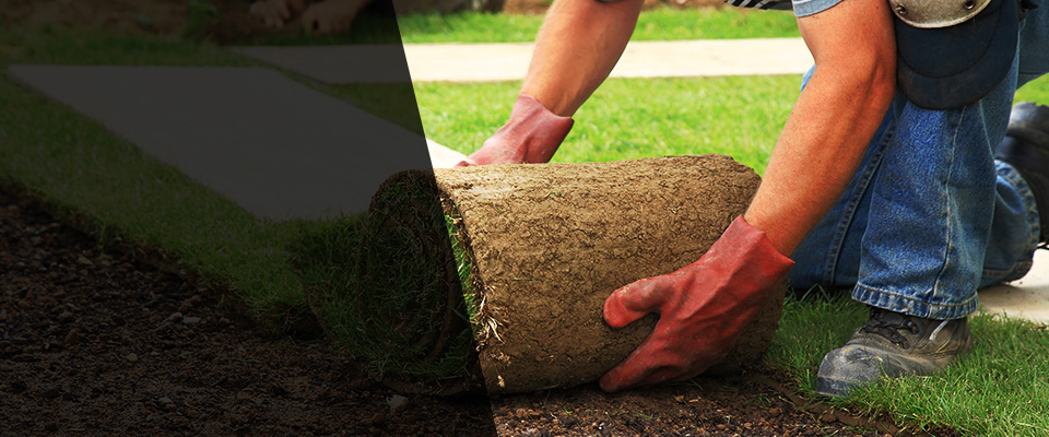 San Miguel Landscapers